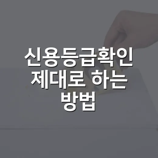 신용등급확인 제대로 하는 방법, 점수부터 대출 영향까지 한 번에 보는 법 - 요약