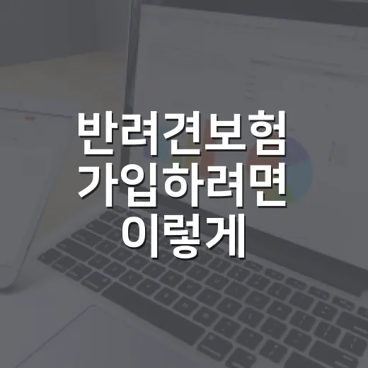 반려견보험 가입하려면 이렇게 비교하는 방법 - 요약
