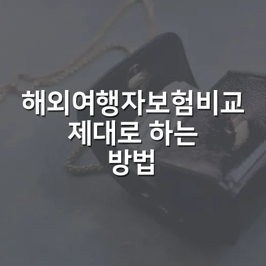 해외여행자보험비교 제대로 하는 방법, 보험료보다 먼저 볼 항목 - 요약