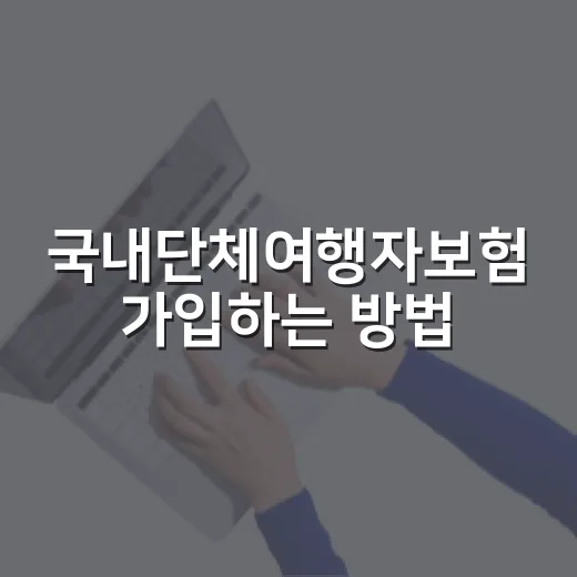 국내단체여행자보험 가입하는 방법, 행사 전 확인할 체크포인트 - 요약