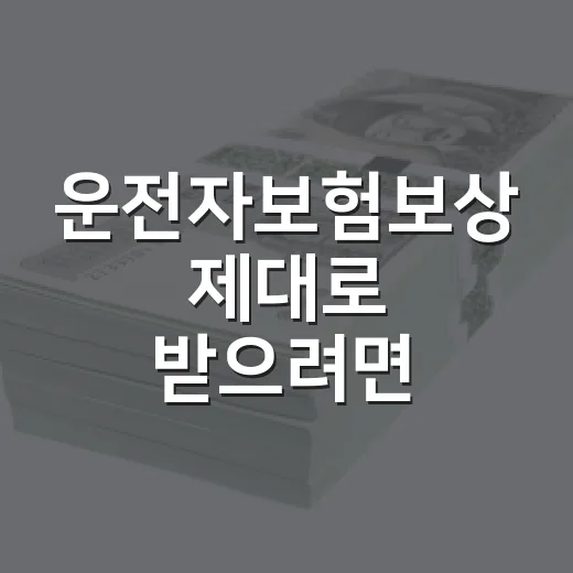 운전자보험보상 제대로 받으려면 이렇게 확인하는 방법 - 요약