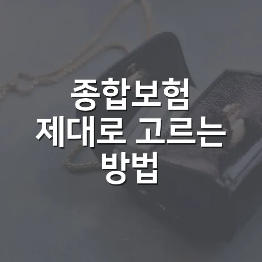 종합보험 제대로 고르는 방법, 보장 겹침 줄이고 보험료 낮추려면 이렇게 - 요약
