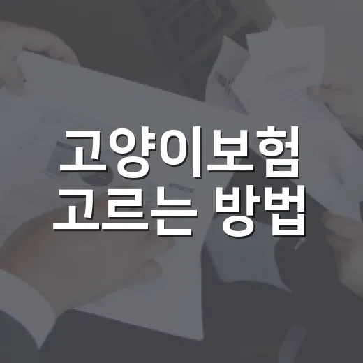 고양이보험 고르는 방법, 병원비보다 먼저 봐야 할 6가지 - 요약
