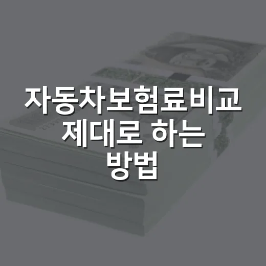 자동차보험료비교 제대로 하는 방법, 갱신 전 이렇게 확인하면 덜 낸다 - 요약