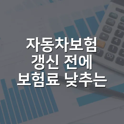 자동차보험 갱신 전에 보험료 낮추는 방법 - 요약