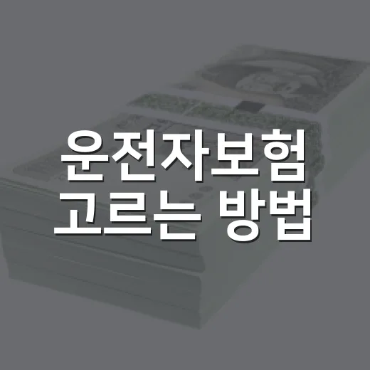 운전자보험 고르는 방법, 자동차보험과 헷갈리지 않으려면 이렇게 - 요약