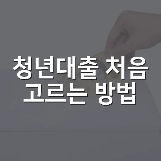 청년대출 처음 고르는 방법, 전세자금부터 생활비까지 이렇게 비교하기 - 요약