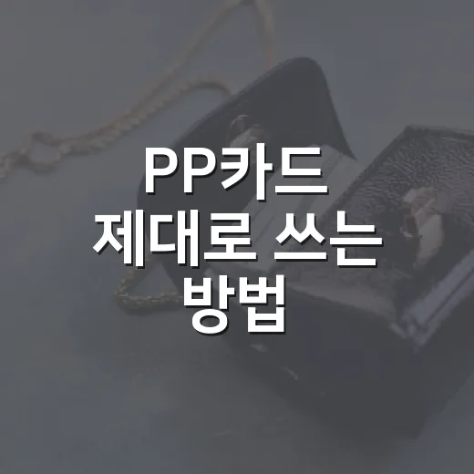 PP카드 제대로 쓰는 방법, 공항 라운지 혜택부터 연회비 계산까지 - 요약