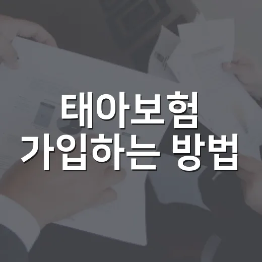 태아보험 가입하는 방법, 임신 주수별로 놓치기 쉬운 포인트 - 요약