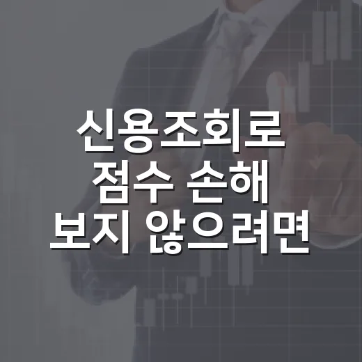 신용조회로 점수 손해 보지 않으려면 이렇게 확인하는 방법 - 요약
