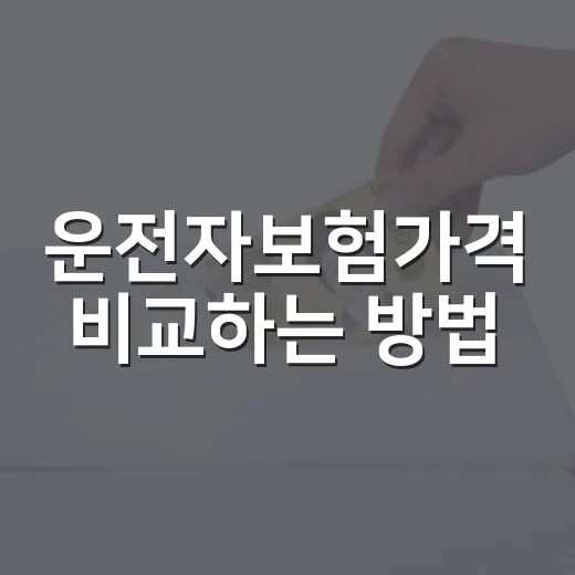 운전자보험가격 비교하는 방법, 월 보험료만 보고 고르면 놓치는 것들 - 요약