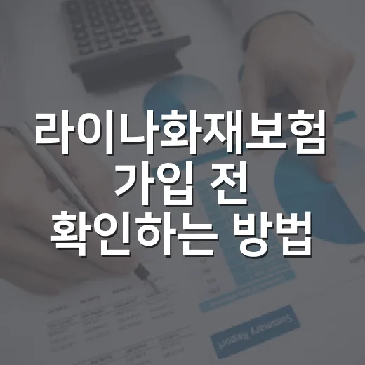 라이나화재보험 가입 전 확인하는 방법, 라이나손해보험으로 헷갈리지 않으려면 이렇게 - 요약