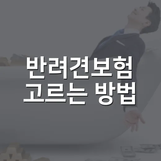 반려견보험 고르는 방법, 월 보험료보다 먼저 계산할 것들 - 요약
