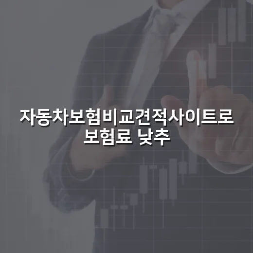 자동차보험비교견적사이트로 보험료 낮추는 방법, 초보자는 이렇게 보면 됩니다 - 요약