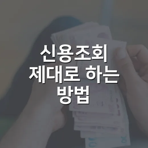 신용조회 제대로 하는 방법, 점수 걱정 없이 확인하려면 이렇게 - 요약
