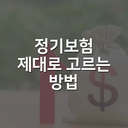 정기보험 제대로 고르는 방법, 보험료를 낮추고 보장은 키우려면 이렇게 - 요약