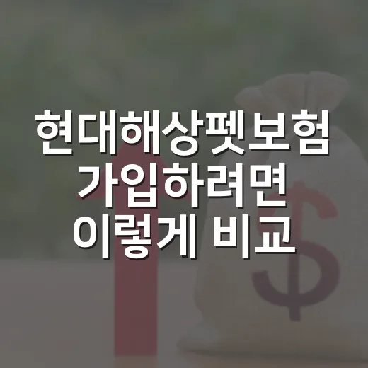 현대해상펫보험 가입하려면 이렇게 비교하는 방법 - 요약