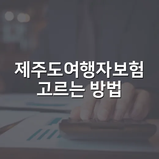 제주도여행자보험 고르는 방법, 항공 지연부터 렌터카 사고까지 확인하려면 이렇게 - 요약