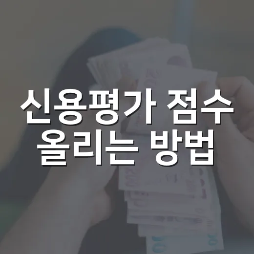 신용평가 점수 올리는 방법, 대출 전 3개월은 이렇게 관리하세요 - 요약