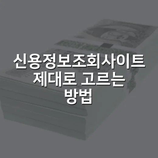 신용정보조회사이트 제대로 고르는 방법, 무료 조회부터 점수 관리까지 - 요약