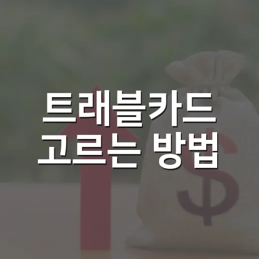 트래블카드 고르는 방법, 해외여행 경비를 덜 새게 하려면 이렇게 - 요약