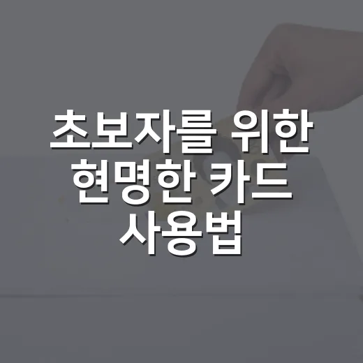 초보자를 위한 현명한 카드 사용법 - 요약