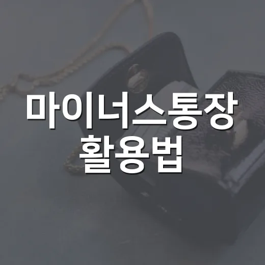 마이너스통장 활용법: 똑똑하게 관리하는 방법 - 요약
