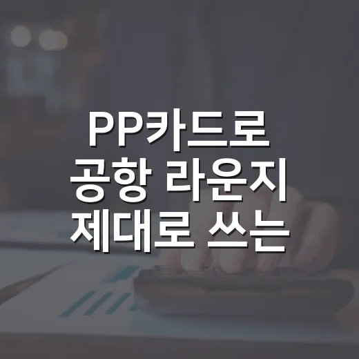 PP카드로 공항 라운지 제대로 쓰는 방법 - 요약