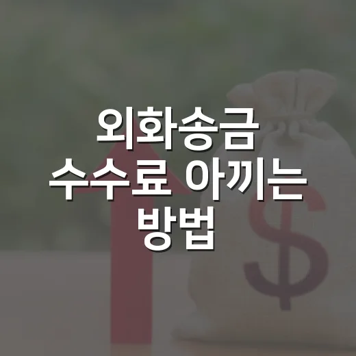 외화송금 수수료 아끼는 방법, 처음 보내기 전 확인할 것들 - 요약