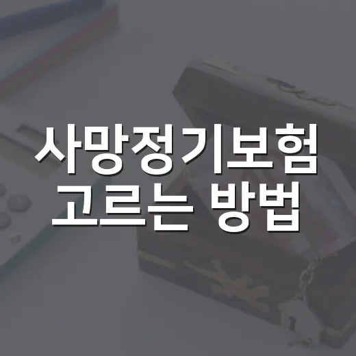 사망정기보험 고르는 방법, 보험료보다 먼저 봐야 할 기준 - 요약
