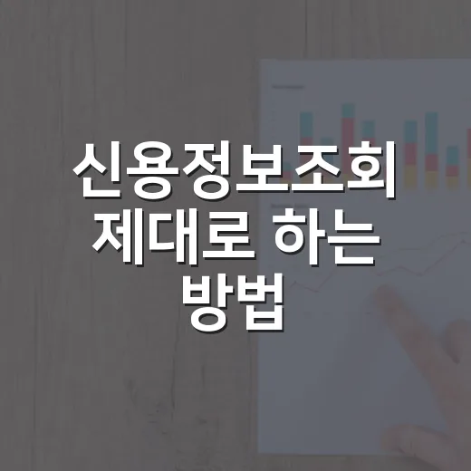 신용정보조회 제대로 하는 방법, 점수 떨어질까 걱정될 때 이렇게 확인하세요 - 요약