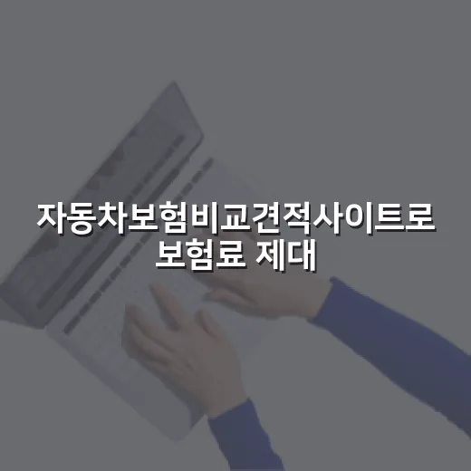 자동차보험비교견적사이트로 보험료 제대로 낮추는 방법 - 요약