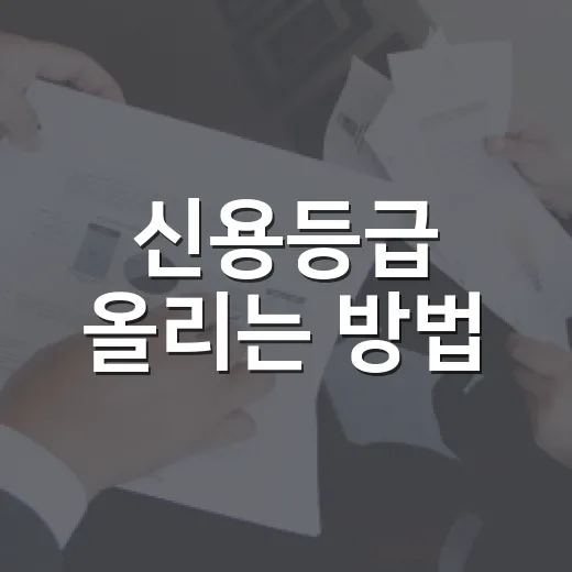 신용등급 올리는 방법, 점수제로 바뀐 시대에 이렇게 관리하면 됩니다 - 요약