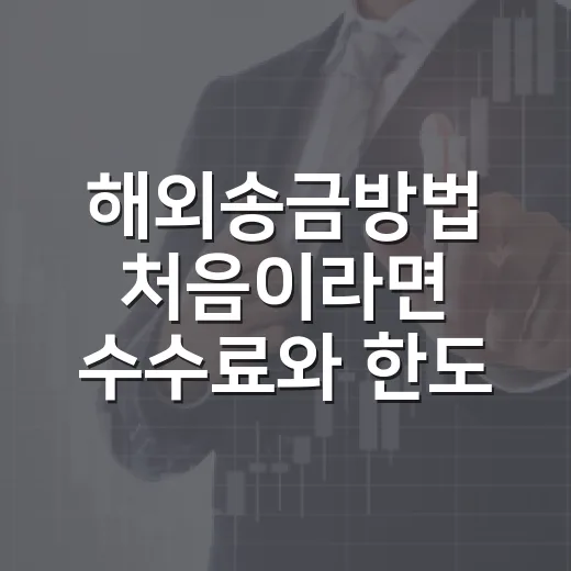 해외송금방법 처음이라면 수수료와 한도부터 확인하는 방법 - 요약