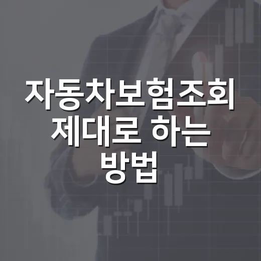 자동차보험조회 제대로 하는 방법, 갱신 전 보험료 낮추려면 이렇게 확인하세요 - 요약