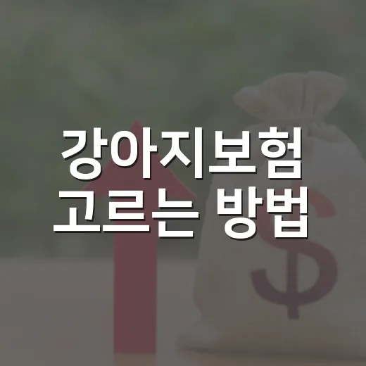 강아지보험 고르는 방법, 보험료보다 먼저 봐야 할 7가지 - 요약