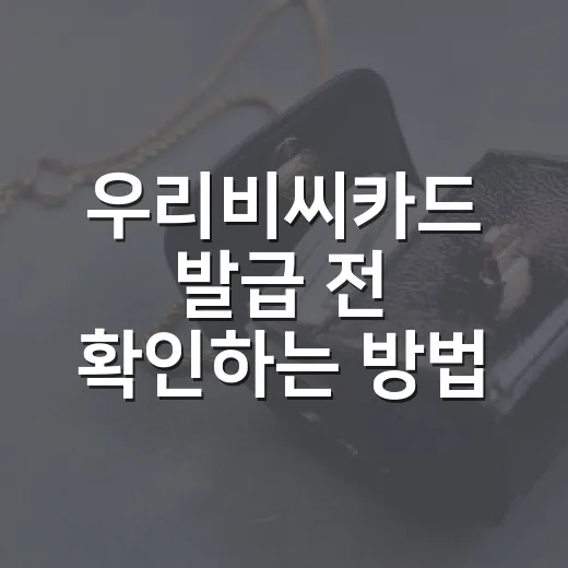우리비씨카드 발급 전 확인하는 방법, 사용등록부터 분실신고까지 - 요약