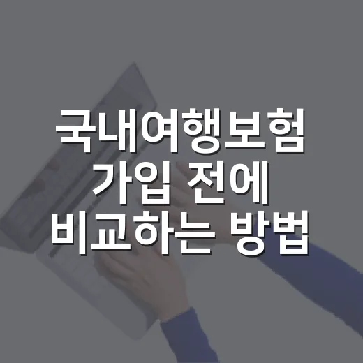 국내여행보험 가입 전에 비교하는 방법 - 요약