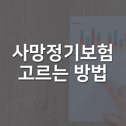 사망정기보험 고르는 방법, 보험료보다 먼저 볼 5가지 - 요약