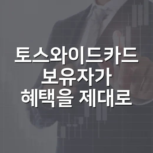 토스와이드카드 보유자가 혜택을 제대로 챙기는 방법 - 요약