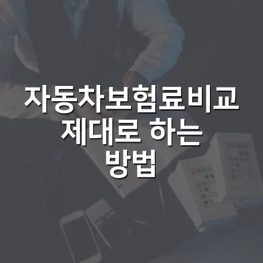 자동차보험료비교 제대로 하는 방법, 갱신 전에 같은 조건으로 낮추려면 - 요약