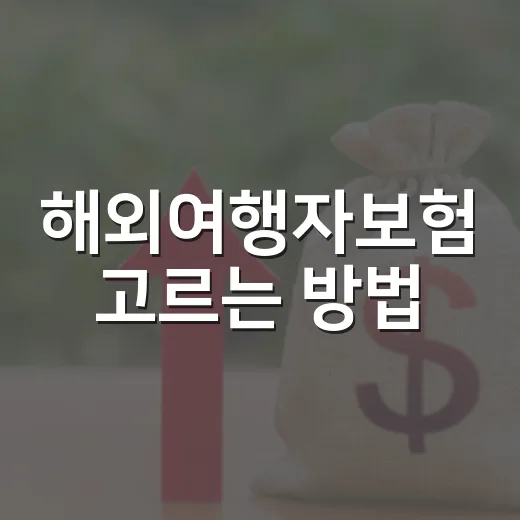 해외여행자보험 고르는 방법, 보험료보다 먼저 볼 것들 - 요약