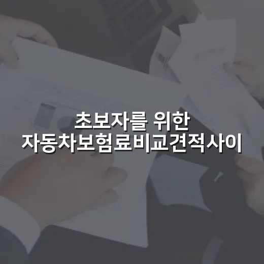 초보자를 위한 자동차보험료비교견적사이트 쓰는 방법 - 요약