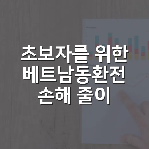 초보자를 위한 베트남동환전 손해 줄이는 방법 - 요약