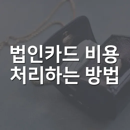 법인카드 비용 처리하는 방법, 초보 법인이 실수 줄이려면 이렇게 - 요약