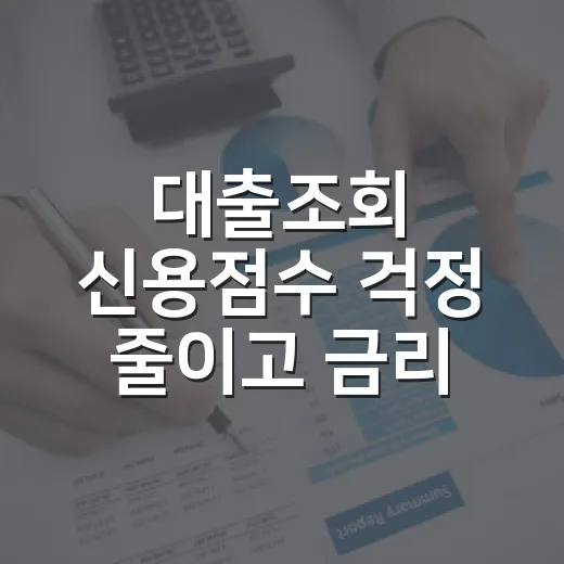 대출조회 신용점수 걱정 줄이고 금리 비교하는 방법 - 요약