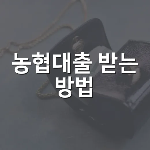 농협대출 받는 방법, 은행과 지역 농축협부터 이렇게 고르기 - 요약