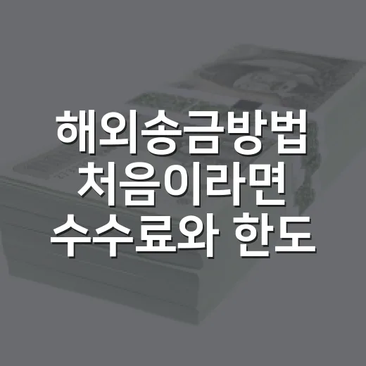 해외송금방법 처음이라면 수수료와 한도까지 확인하는 방법 - 요약