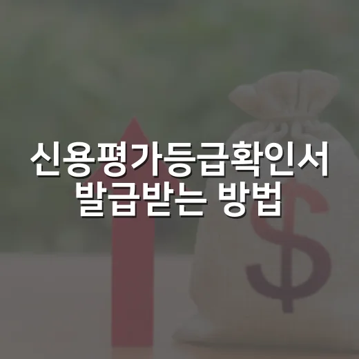신용평가등급확인서 발급받는 방법, 제출 전 놓치면 안 되는 기준 - 요약
