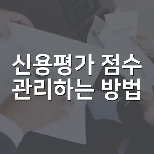 신용평가 점수 관리하는 방법, 대출 전 이렇게 점검하기 - 요약